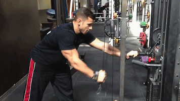 1.gif